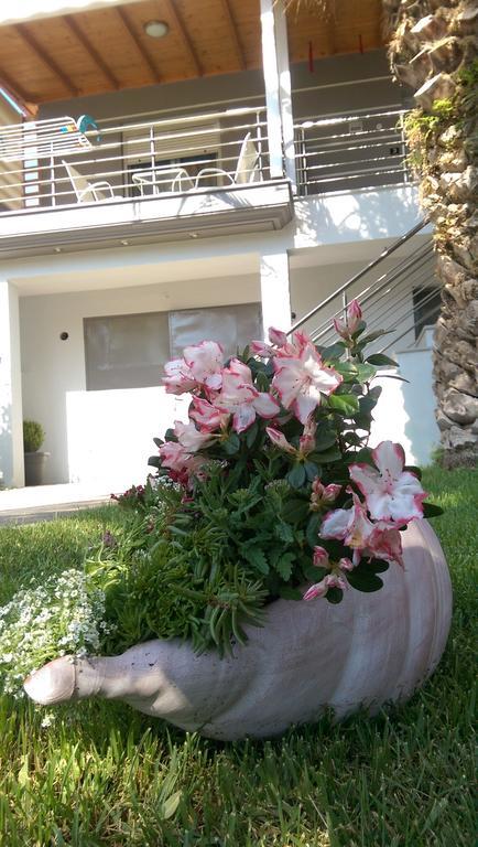 Aimilias Family Apartments Nea Vrasna Exterior photo